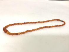 A single strand graduated amber bead necklace, of "butterscotch" colour, on a gilt-metal clasp.