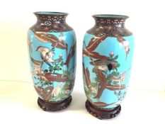 A pair of Japanese cloisonne enamel vases, each of baluster form with everted rim, decorated with