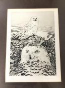 Timothy Greenwood, Snowy Owls, etching, 9/150, signed bottom right, framed (32cm x 24cm)