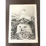 Timothy Greenwood, Snowy Owls, etching, 9/150, signed bottom right, framed (32cm x 24cm)