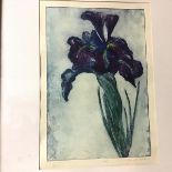 Scottish School, Iris, print, 1/25, signed bottom right (48cm x 34cm)