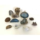 An assortment of geode and nodule fragments, some with figures, and a fossilized sea creature, a