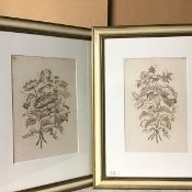 Two 19thc. sketches of Flowers and Leaves with Ribbon, watercolour, numbered 8 to top with another