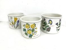 A set of three Portmerion planters, each with floral decoration including Crocus and Snowdrops (two: