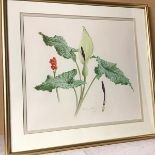 Keith West, Botanical Study, Peace Lily, watercolour, signed in pencil, dated 1987, ex Broughton