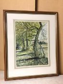 Bob Stirling, Spring Trees, Mains of Gray, watercolour, signed bottom right, paper label verso (35cm