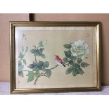 Chinese School, Exotic Bird on Flower branch, watercolour, red seal marks and character to top left,