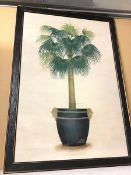 A modern reproduction print, Potted Palm, in ebonised frame (90cm x 60cm)