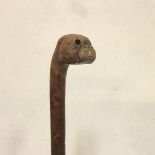 A late 19th century walking stick carved with a dog's head handle, modelled as a bulldog with