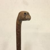 A late 19th century walking stick carved with a dog's head handle, modelled as a bulldog with