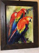 Rabb, Three Macaws, oil, signed bottom right (59cm x 43cm)