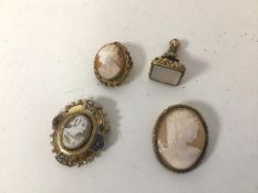 A collection of shell cameo brooches in gilt metal mounts (largest: 4.5cm x 3.5cm) and a gilt