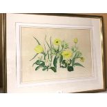 Elspeth Harrigan, Yellow Tulips and Polyanthus, watercolour, signed bottom right, paper labels