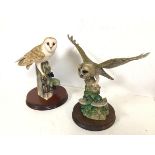 A Border Fine Arts Barn Owl and another Border Fine Arts Barn Owl with Outstretched Wings (28cm x
