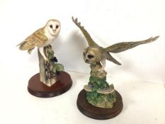 A Border Fine Arts Barn Owl and another Border Fine Arts Barn Owl with Outstretched Wings (28cm x