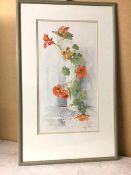 Norma Ramsay, Nasturtiums, watercolour, signed and dated '94 bottom right (50cm x 27cm)