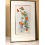 Norma Ramsay, Nasturtiums, watercolour, signed and dated '94 bottom right (50cm x 27cm)