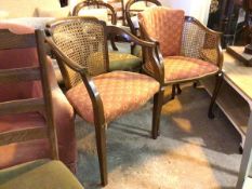 A similar pair of reproduction mahogany armchairs, both with cane and laurel wreath style
