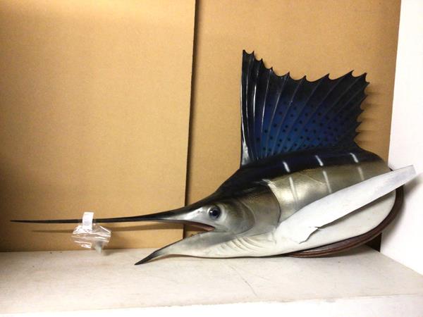 A fiberglass cast Sword Fish mounted on oval wooden wall mount (65cm x 110cm)