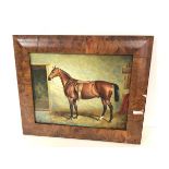 A late 20thc School portrait of Horse in Stable, oil on panel (19cm x 24cm)