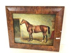 A late 20thc School portrait of Horse in Stable, oil on panel (19cm x 24cm)