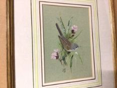 Kenneth J Wood, White Throat, watercolour, signed and dated 1990 to bottom, inscribed verso (20cm