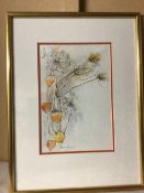 Norma J. Ramsay, Chinese Lanterns, signed bottom left, inscribed verso, with additional D.A. 1996 (