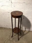 An Edwardian mahogany plant stand, the circular top above a single tier, on outswept feet (98cm x