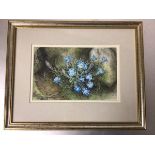 Jillian McDougall, Gentian, watercolour, signed with initials J.M, inscribed verso, dated '84, in