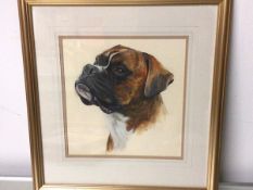 Unknown artist, Boxer watercolour, unsigned, in gilt composition frame (29cm x 28cm)