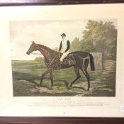After S.R. Wombill, Donovan by Gallopan-Mowerina, lithographic print, in glazed frame (67cm x 83cm)