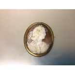 A large 19th century carved shell cameo brooch, depicting Eos, Goddess of the Dawn, in an unmarked