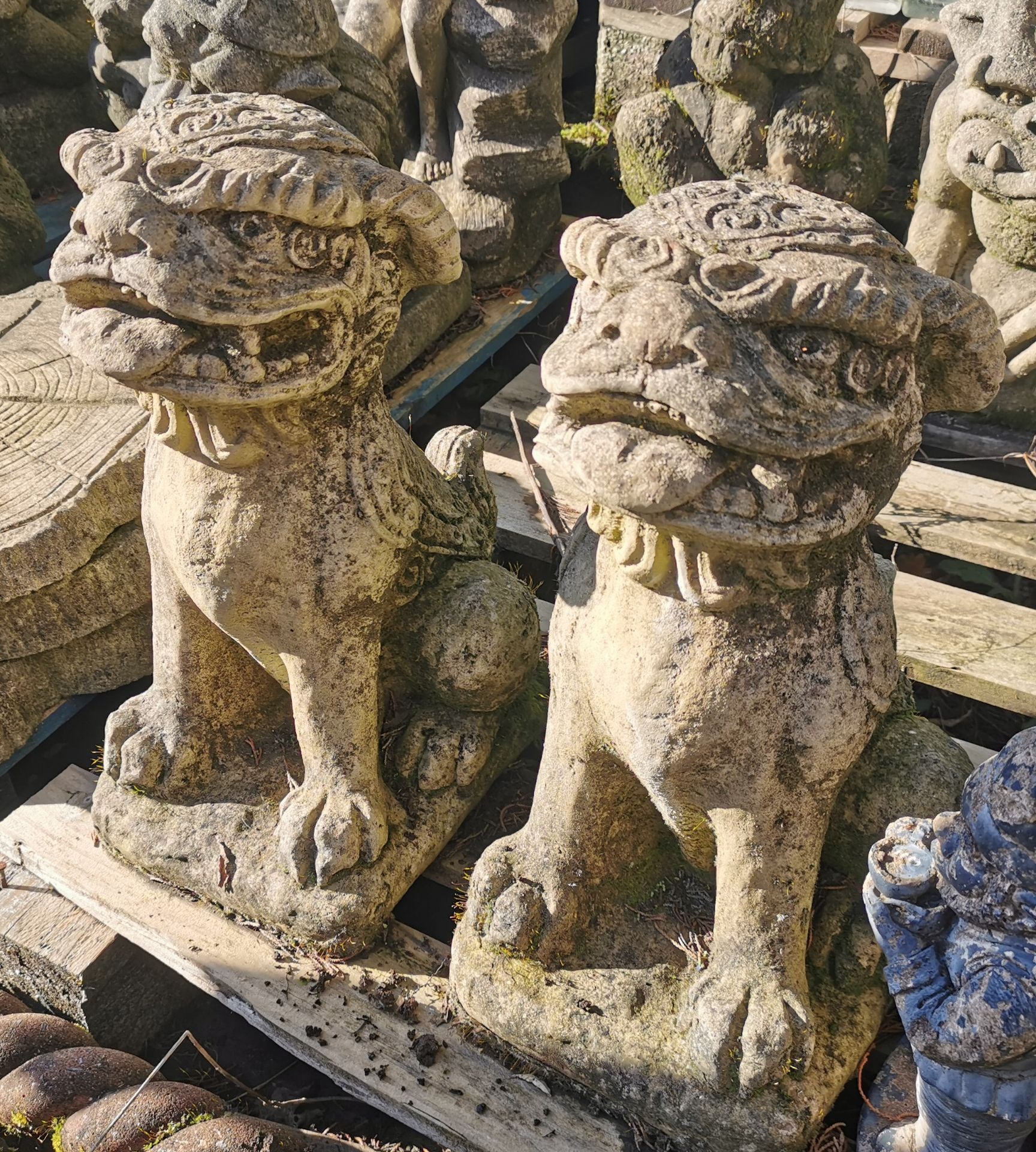 Pair of Garden Ornaments - Temple Dogs