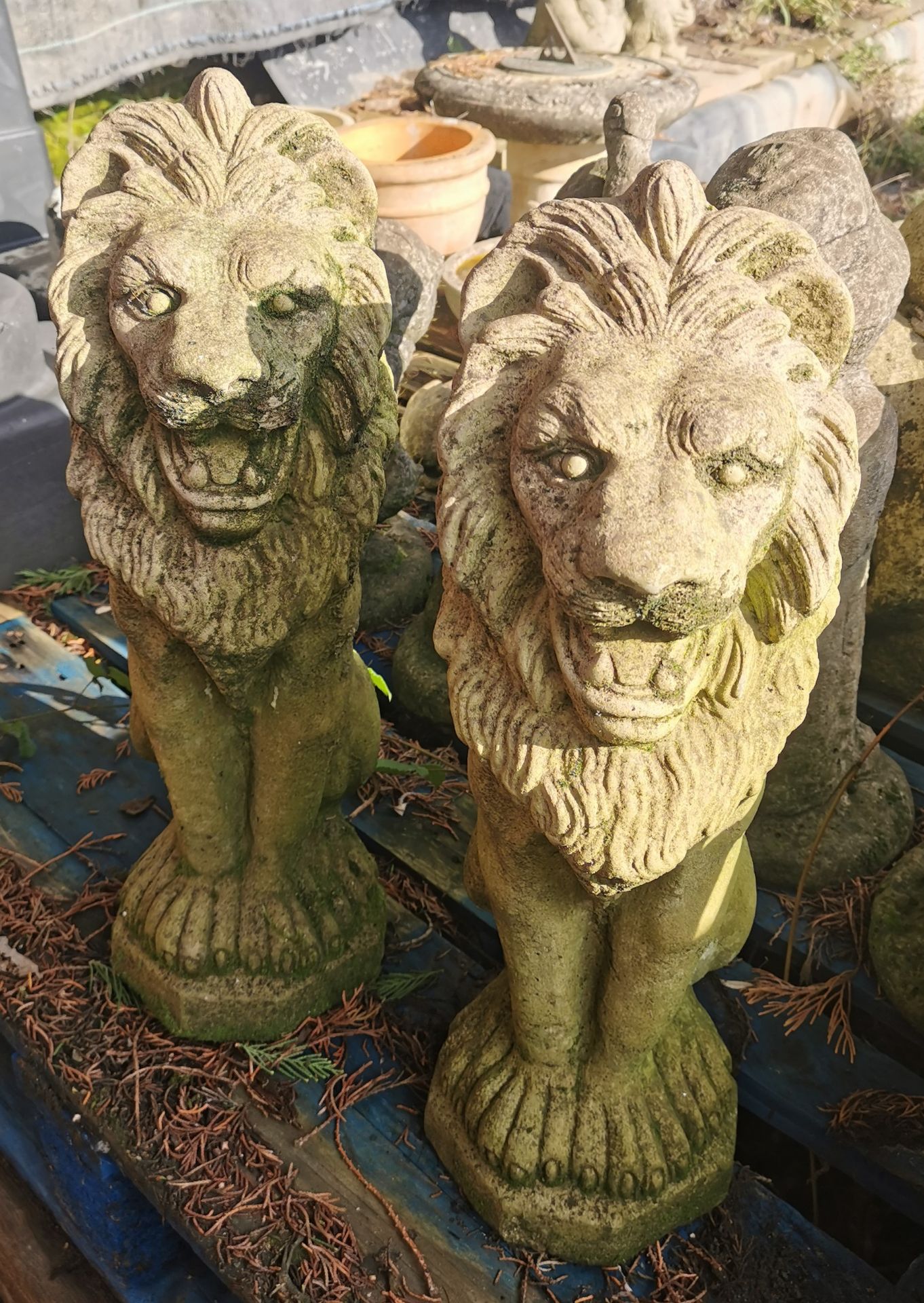 Pair Garden Ornaments - Lions