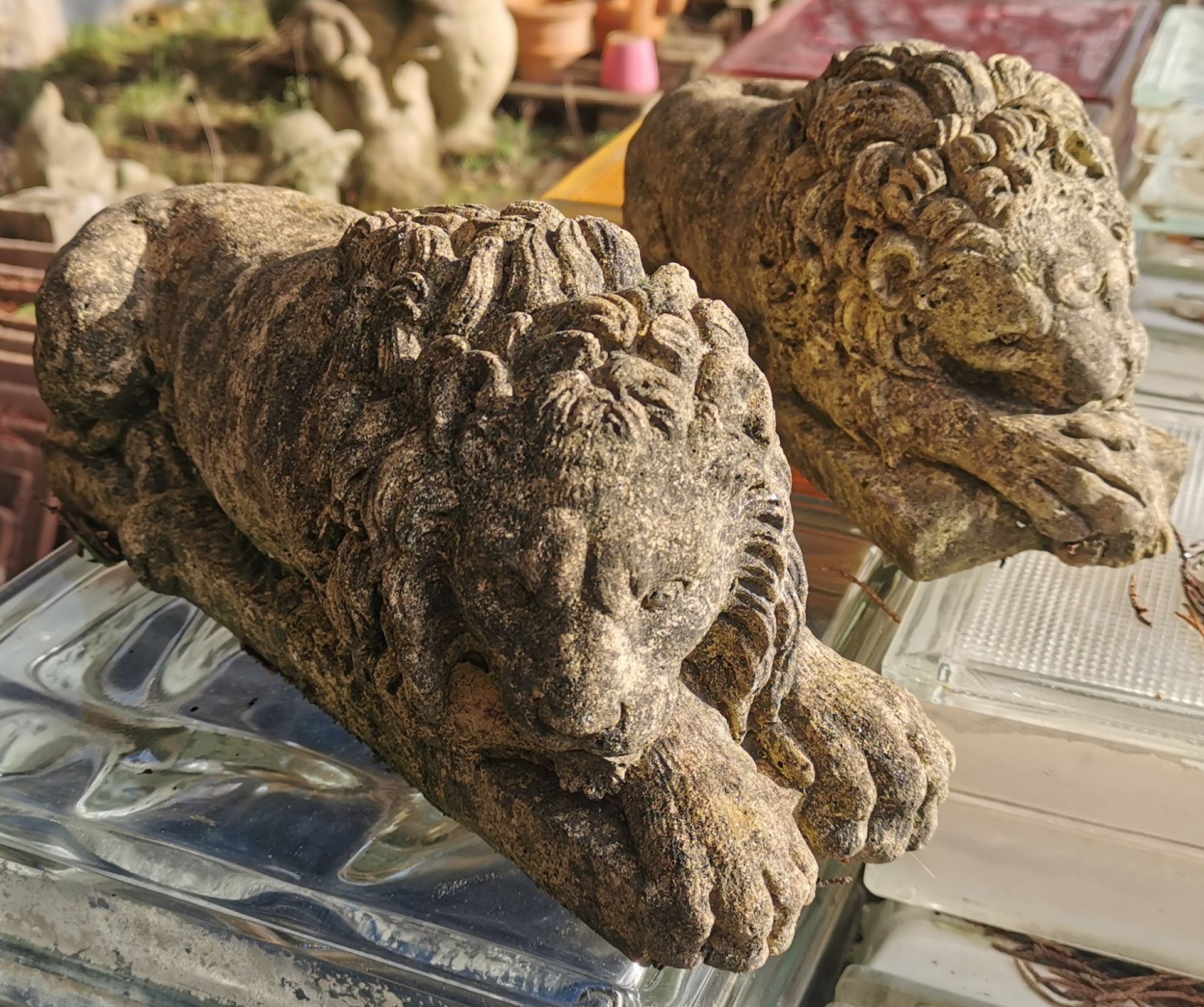 Pair Garden Ornaments - Small Lions