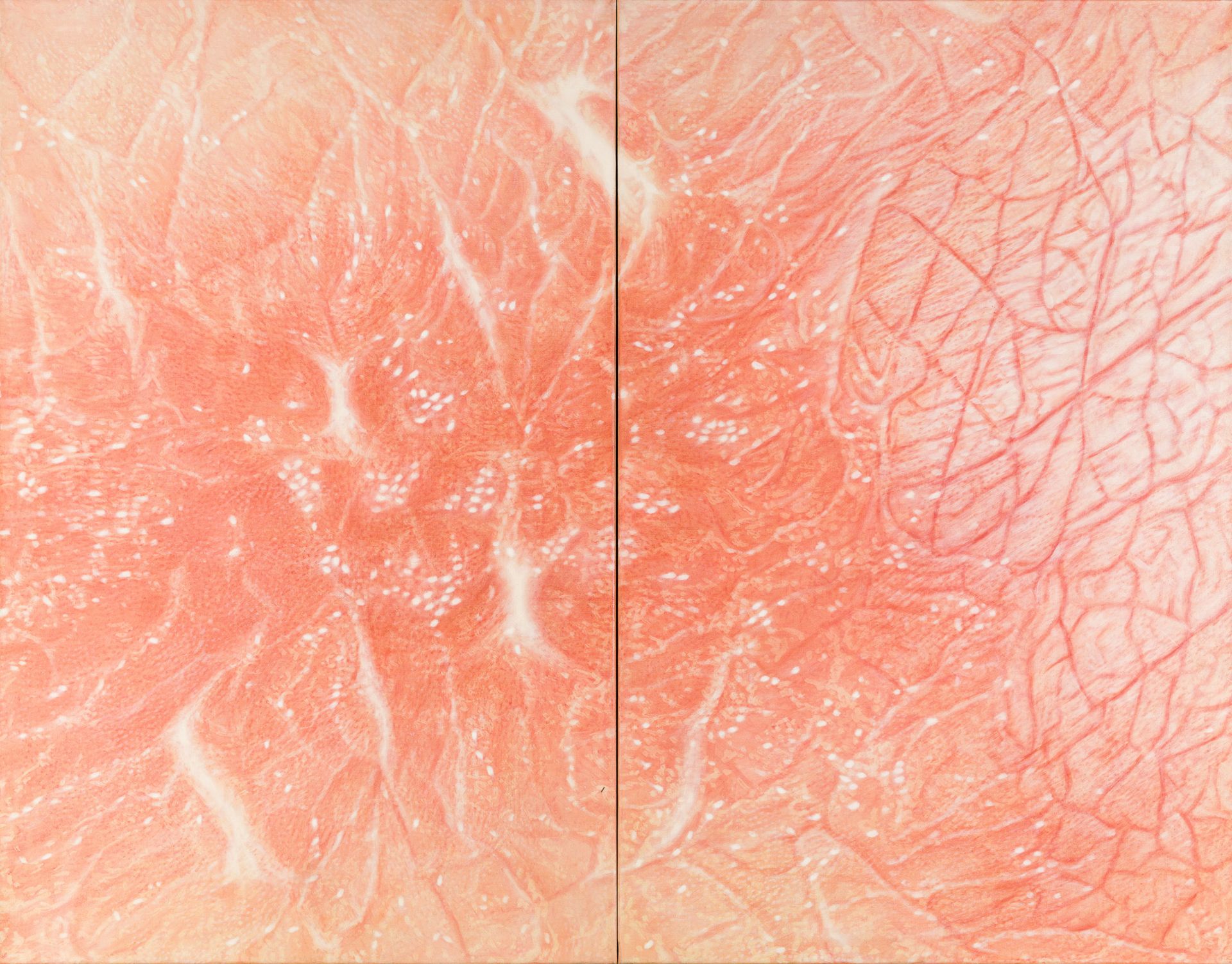 Gabi Trinkaus, Ohne Titel (Diptychon) / untitled (diptych)