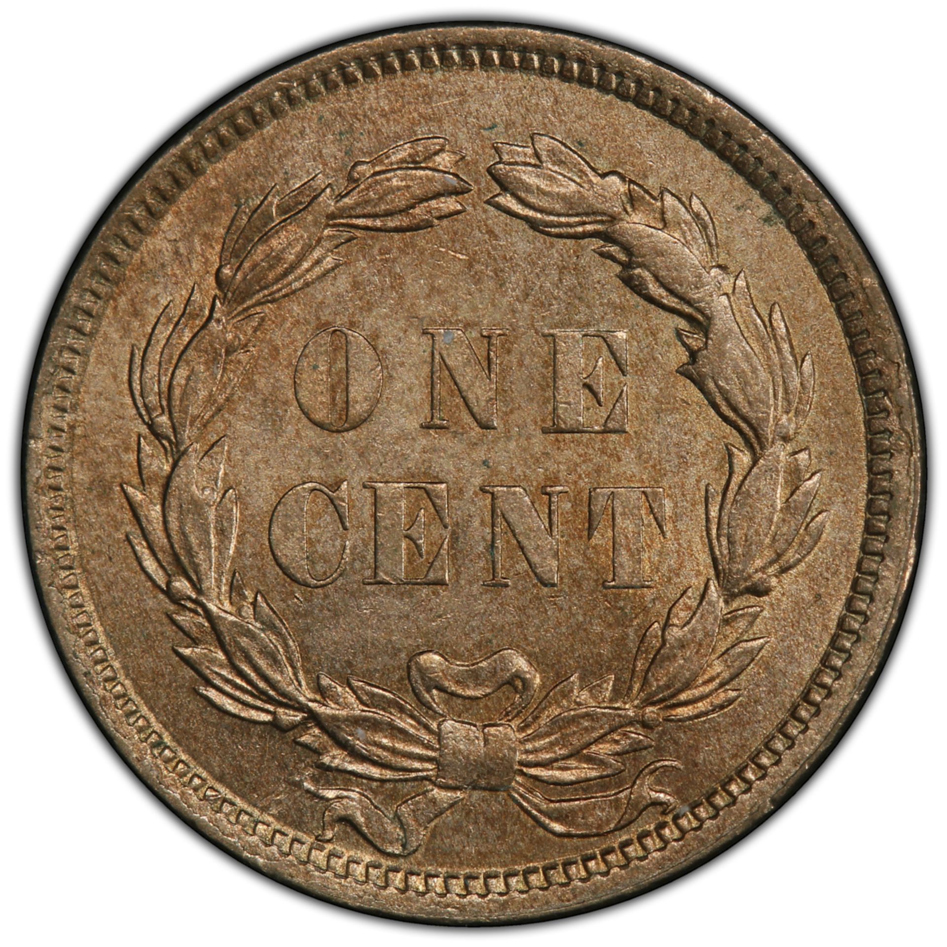 1859 P Indian Head Penny Coin MS63 PCGS - Image 3 of 4