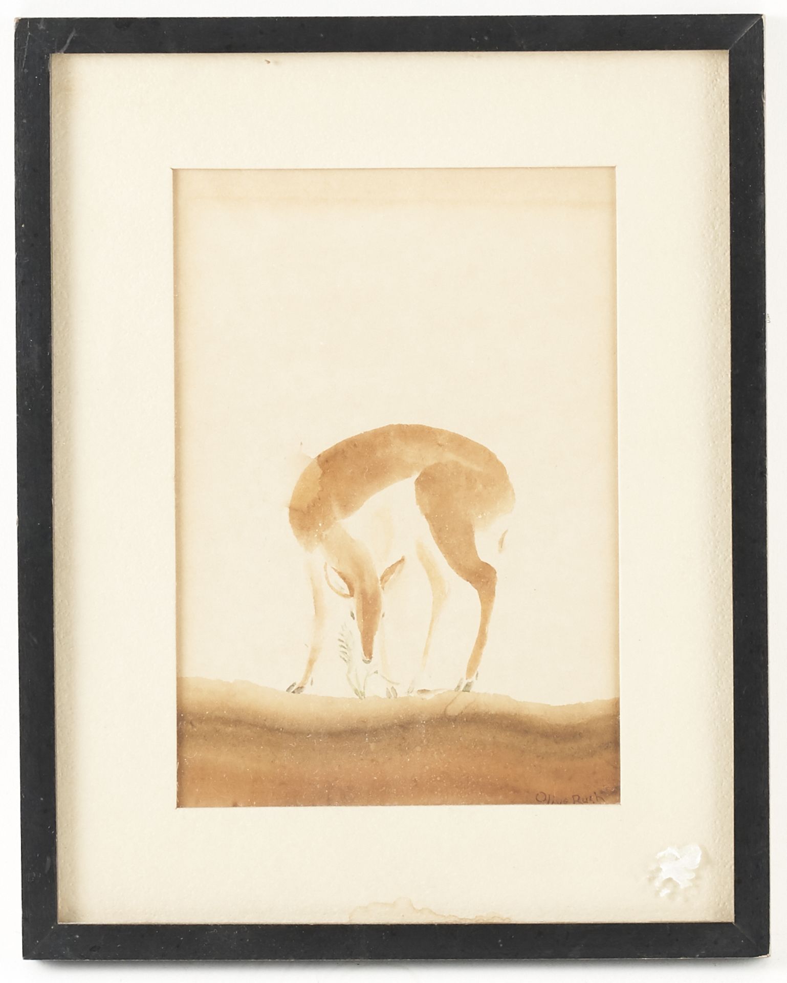 Olive Rush Watercolor Deer - Bild 2 aus 4