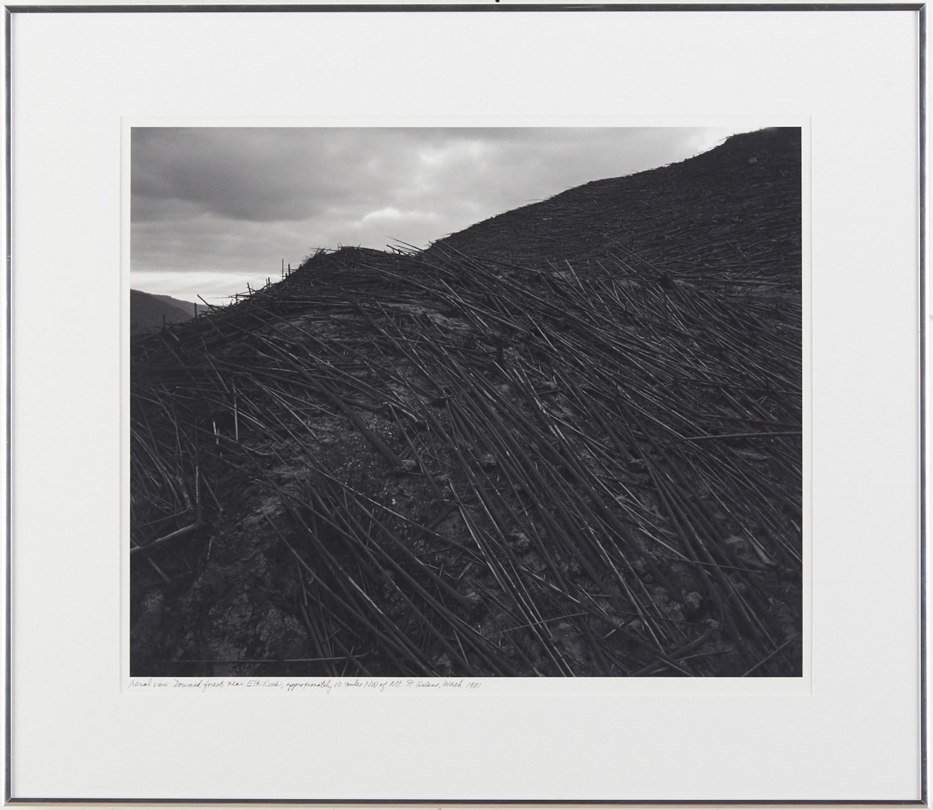 Frank Gohlke "Aerial View Downed Forest" Photograph - Bild 2 aus 3