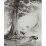Chin San Long Photograph "Deer in Forest" Signed Silver Gelatin