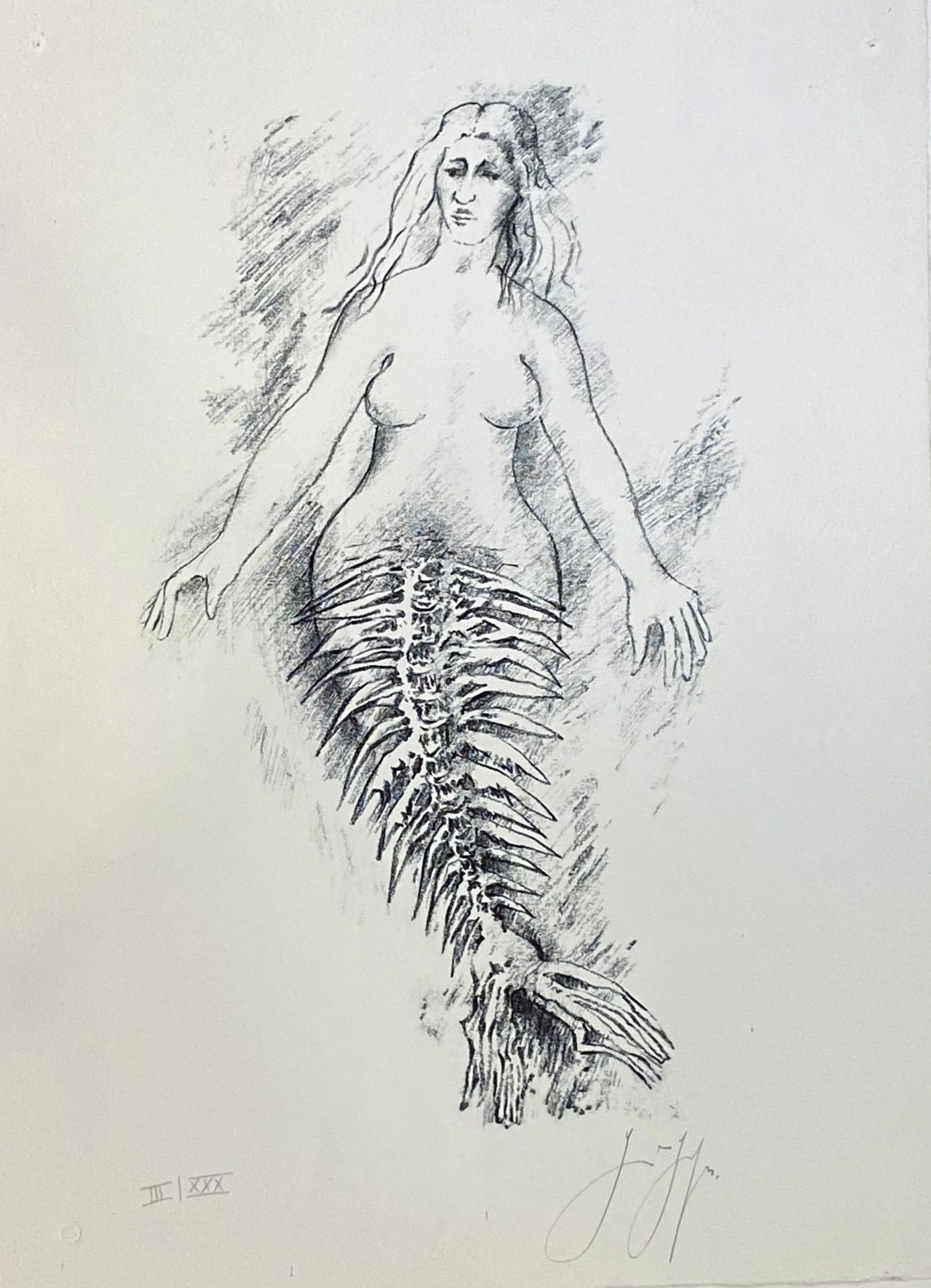 Günter Grass, Die kleine Meerjungfrau
