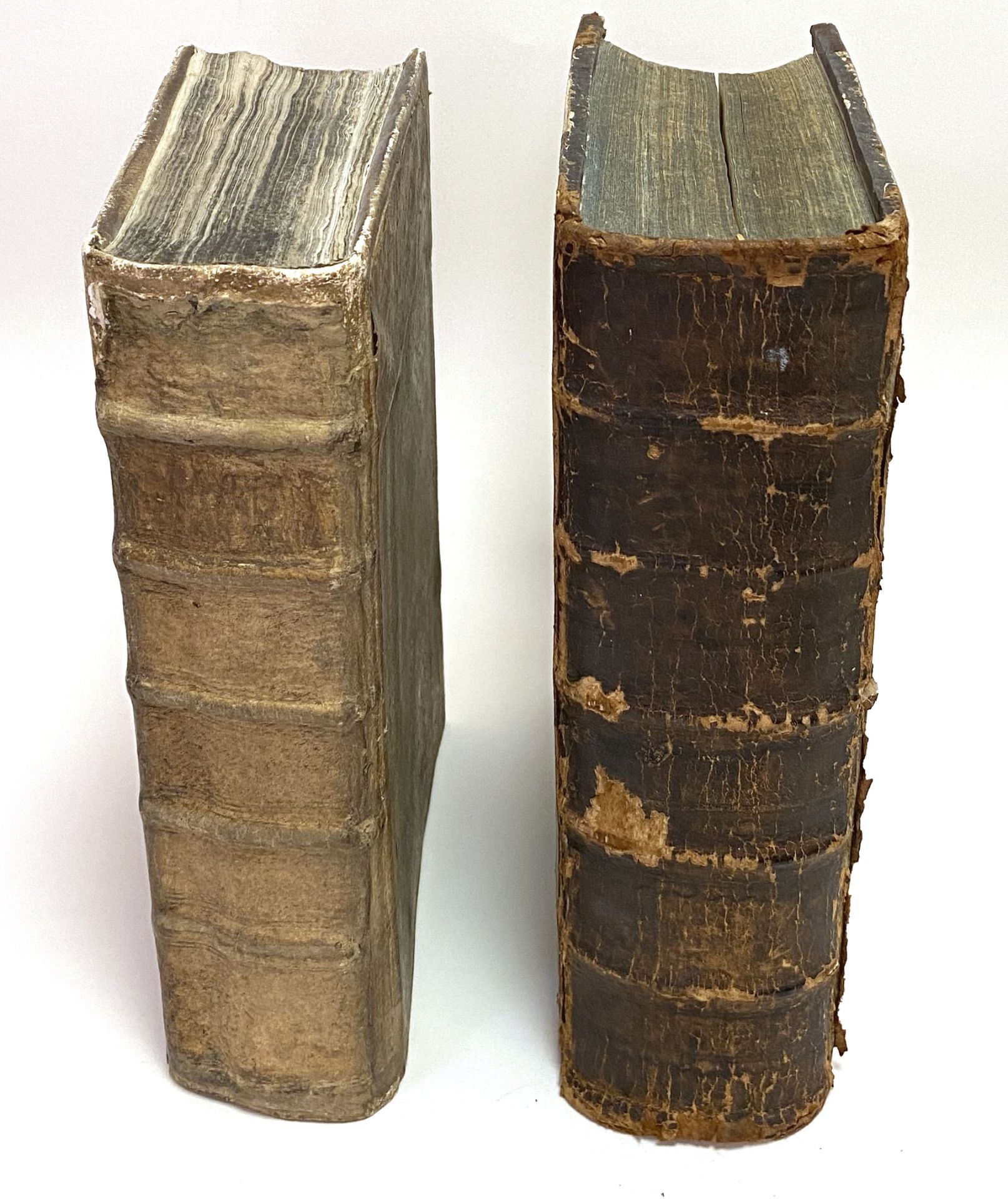 Zwei Nürnberger Bibeln - Image 2 of 3