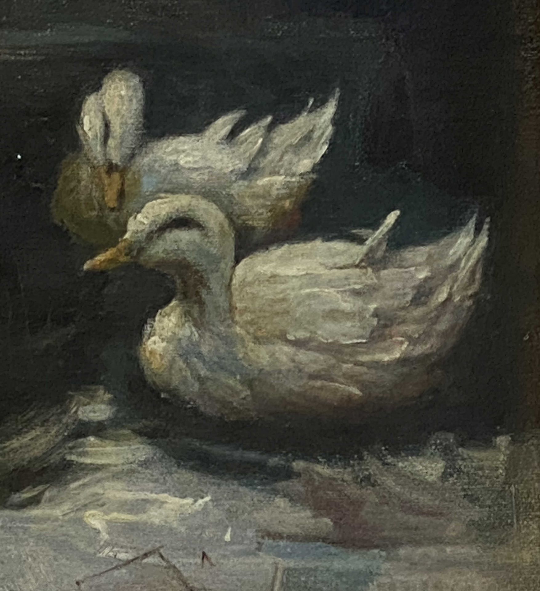 Alexander Koester, Zwei weiße Enten im Teich - Image 4 of 4