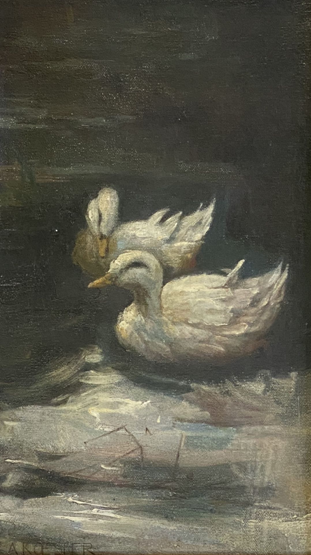 Alexander Koester, Zwei weiße Enten im Teich