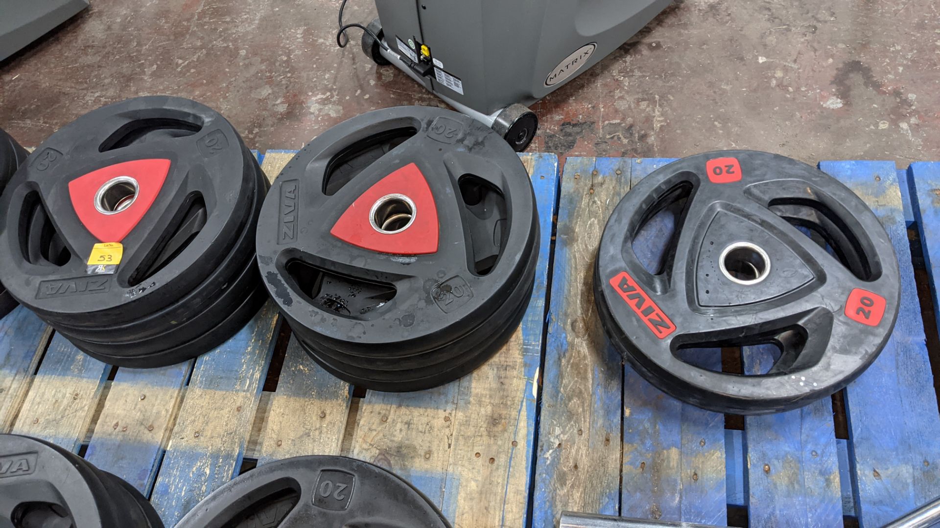 10 off Ziva 20kg weighted discs