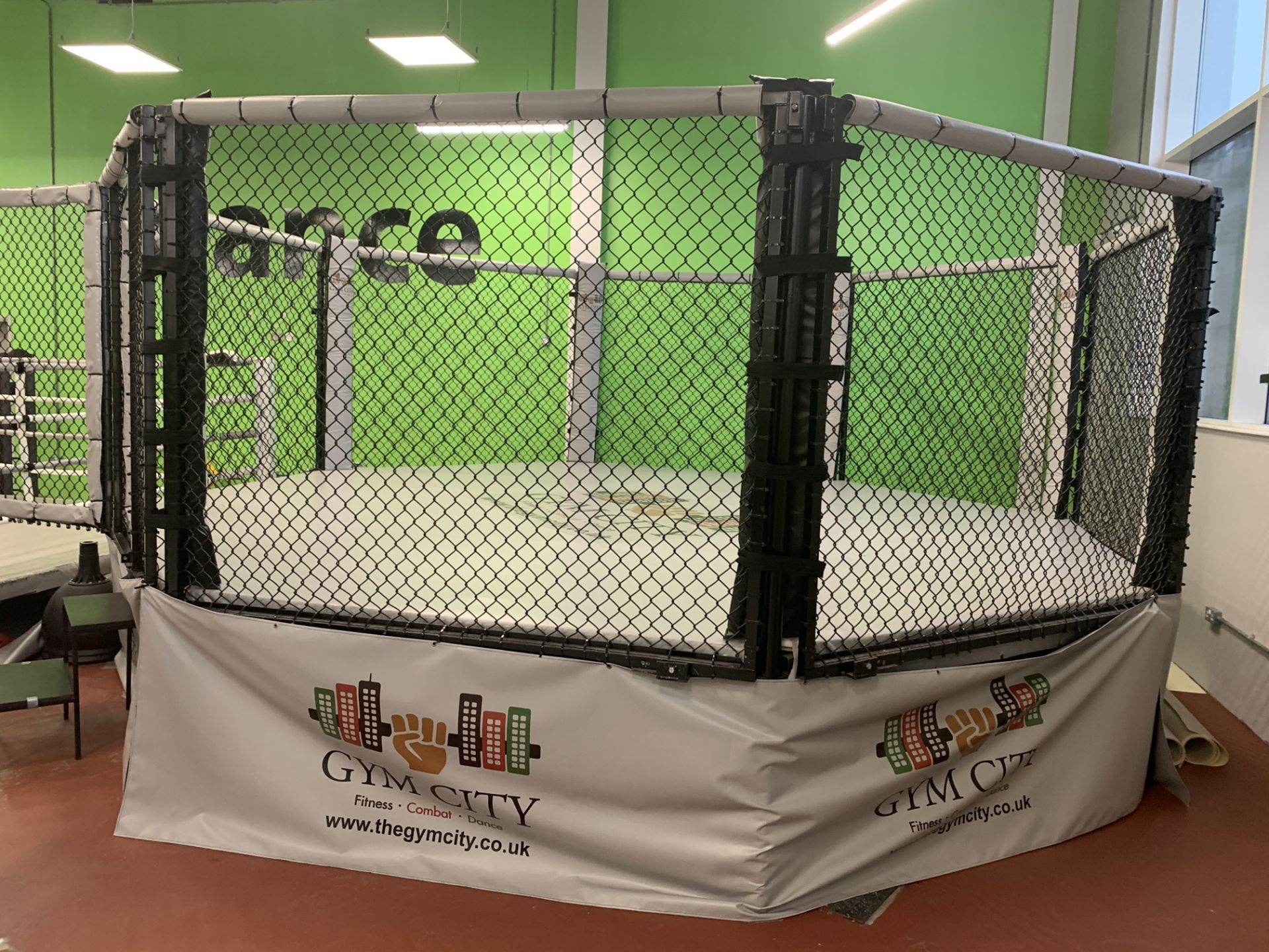 Octagonal fighting cage.