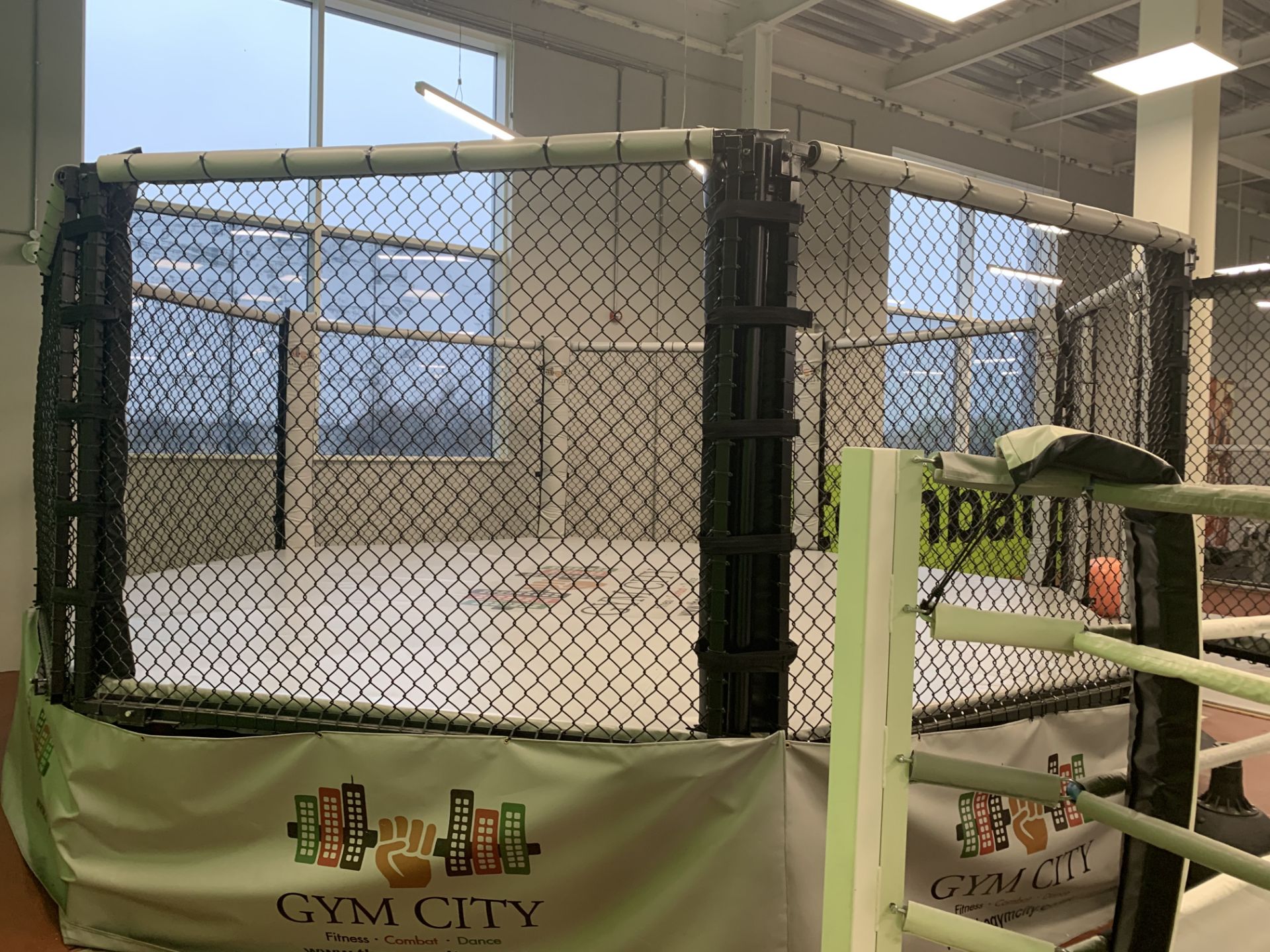 Octagonal fighting cage. - Image 7 of 25