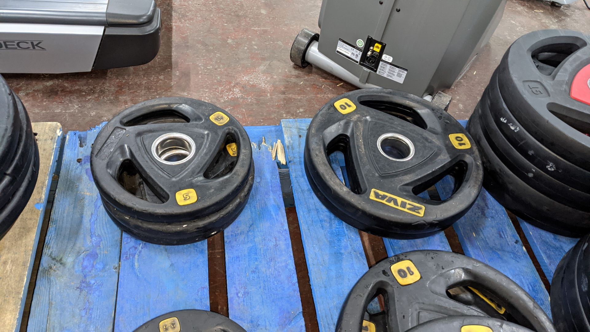 Quantity of Ziva weighted plates in 2 different colour schemes - in total this lot comprises 4 off 2 - Image 5 of 6