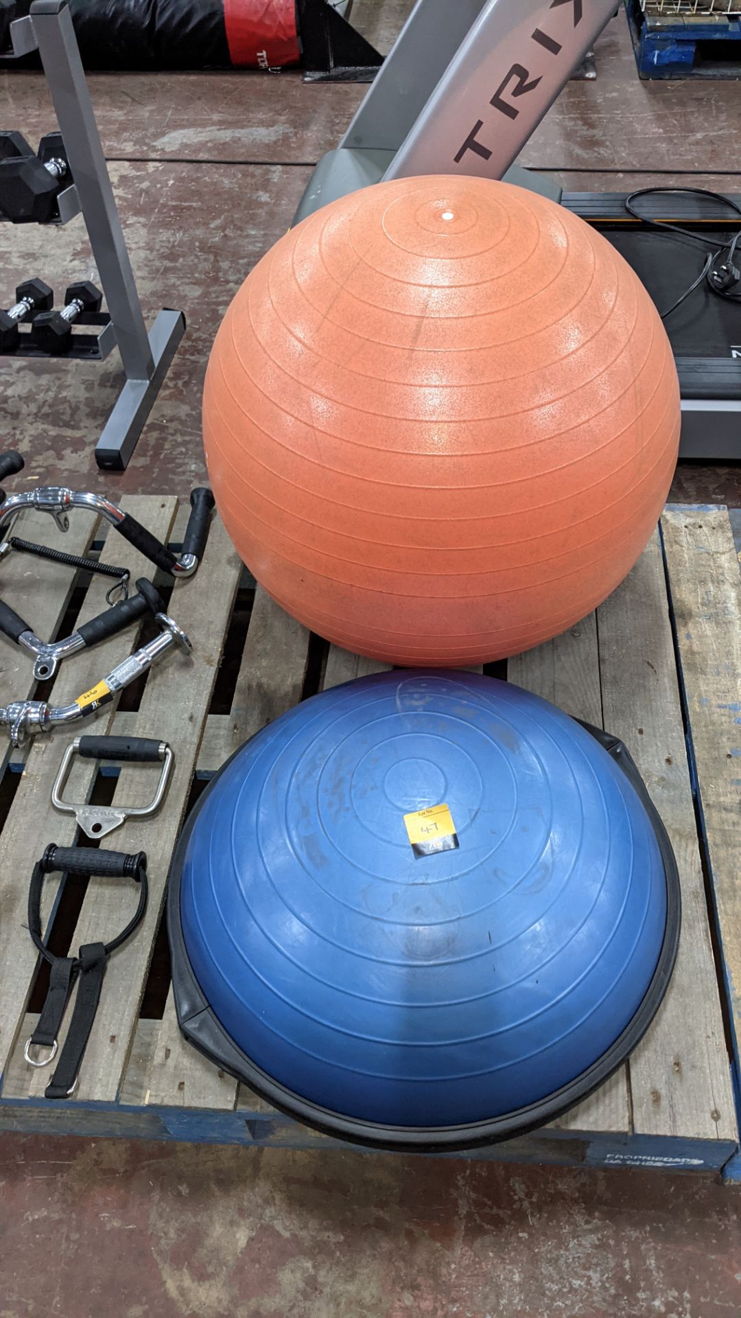 Balance board plus large rubber training ball