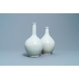 Two Japanese monochrome white Arita bottles, Edo, 17th C.